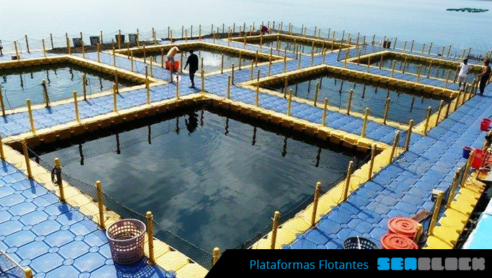 plataformas flotantes 5